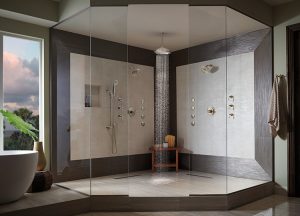 Luxury Shower Trends