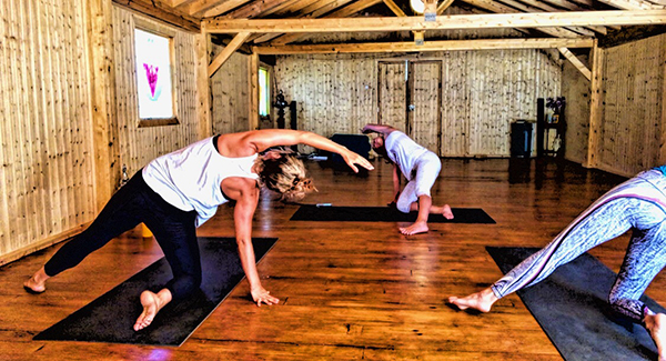 The power of an evolutionary yoga retreat