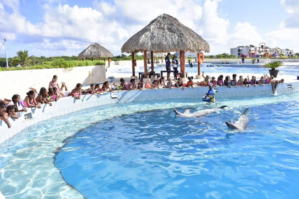 Swim with dolphins in Punta Cana